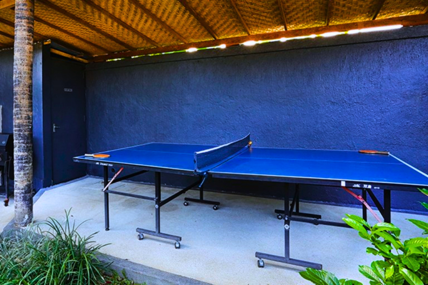 Table Tennis